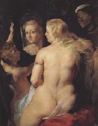 Peter Paul Rubens Venus at the Mirror (MK01) Germany oil painting reproduction